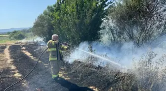Balıkesir'de Yangın 12 Dekar Arpa Tarlasına Zarar Verdi