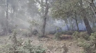 Balıkesir İvrindi'de Orman Yangını Kontrol Altına Alındı