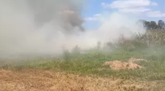 Manyas Gölü'nde Sazlık Alanında Yangın Söndürüldü