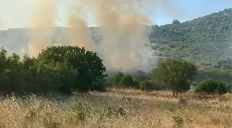 Balıkesir Sındırgı'da Tarım Arazisinde Yangın