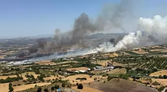 Balıkesir'de Tarım Arazisinde Yangın