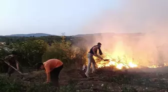 Balıkesir'de Tavuk Çiftliğinde Yangın