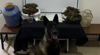 Gönen'de Uyuşturucu Operasyonu: 2 Gözaltı
