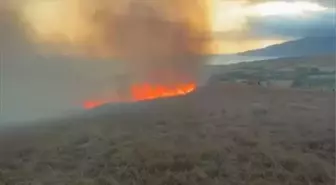 Paşalimanı Adası'nda Yangın Mücadelesi Sürüyor