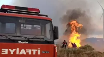 Paşalimanı Adası'nda Yangın Kontrol Altına Alındı