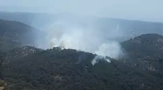 Balıkesir'de Arazi ve Orman Yangınları Kontrol Altına Alınıyor