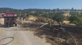 Balıkesir'in Burhaniye ilçesinde yangın kontrol altına alındı