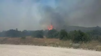İvrindi'de Orman Yangını Kontrol Altına Alındı