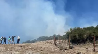 Balıkesir'de Arazi Yangını Kontrol Altına Alındı