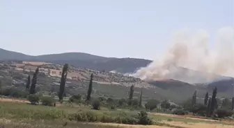 Balıkesir'de Orman Yangınına Havadan ve Karadan Müdahale