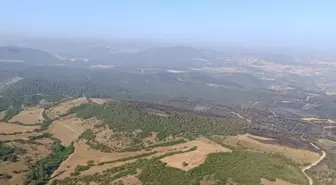 Balıkesir'de İki Orman Yangını Kontrol Altına Alındı
