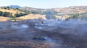 Balıkesir'de Yangın Kontrol Altına Alındı
