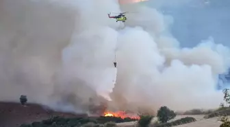 Balıkesir'de Orman Yangınına Hızlı Müdahale