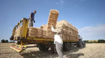 Aşırı Sıcakta Zor Şartlar: Trakya'da Balya İşçileri Çalışıyor