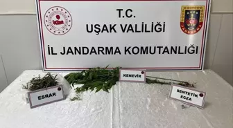 Uşak'ta Uyuşturucu Operasyonu: 1 Gözaltı
