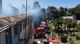 Bandırma'da Koyunculuk Araştırma Enstitüsü'nde Yangın