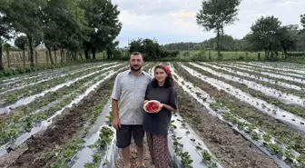 Zehra Şahin'den Çilek Yetiştiriciliği Hamlesi