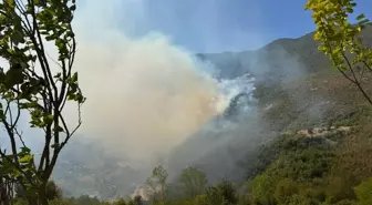Bartın'da Orman Yangınına Hızla Müdahale Ediliyor