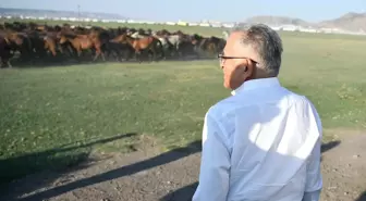 Kayseri'deki Hürmetçi Sazlığı, Ekoturizm İçin Önemli Bir Merkez Olacak