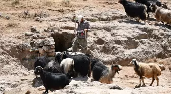 Kurak Yazlarda Besicilerin Umudu: Su Sarnıçları