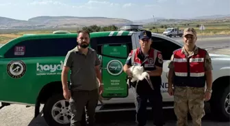 Batman'da Yaralı Leyleğe Tedavi Başlatıldı