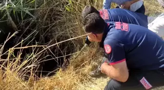Batman'da Su Kuyusuna Düşen Keçi İtfaiye Ekiplerince Kurtarıldı
