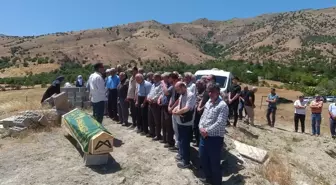 Batman'daki Trafik Kazasında Hayatını Kaybeden Aliye Yılmaz Toprağa Verildi