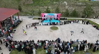 Demirözü'nde İlk Kuşburnu Çiçeği Festivali Düzenlendi