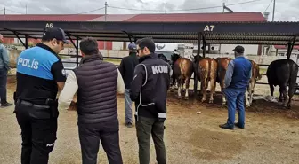 Bayburt'ta Polis Ekipleri Hayvan Pazarında Sahte Para Uyarısı Yaptı