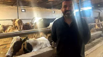 Eskişehir'de Kurbanlık Hayvan Fiyatları Geçen Yıl ile Aynı