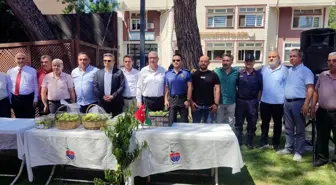Bayramiç Beyazı Meyvesinin Hasat Töreni Yapıldı