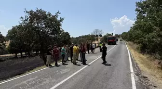 Çanakkale'de Yangın: 15 Dönüm Tarım Alanı Zarar Gördü