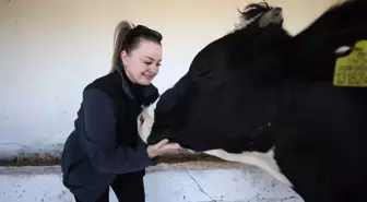 Belçika'dan Kırklareli'ye Göç Eden Çift, Hayvancılıkla Yeni Hayat Kurdu