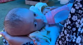 Gazze'deki Çocukların Açlıkla Mücadelesi