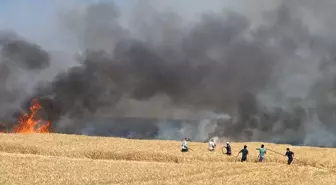 Beypazarı'nda Buğday Tarlasındaki Yangın Kontrol Altına Alındı