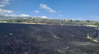 Beypazarı'nda Buğday Tarlasındaki Yangın Kontrol Altına Alındı