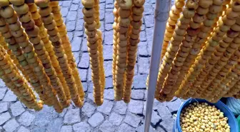 Beypazarı'nda Alıç Hasadı ve Sirkesi Pazara Sunuluyor