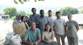 BŞEÜ, 4 Yeni Yulaf Çeşidi Geliştirdi