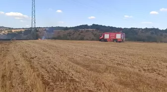 Bilecik'te Anız Yangını Kontrol Altına Alındı