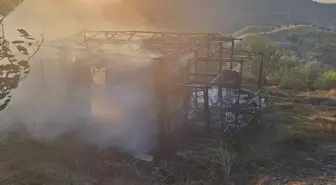 Bilecik'te Arazide Yangın: Ekipler Hızla Müdahale Etti