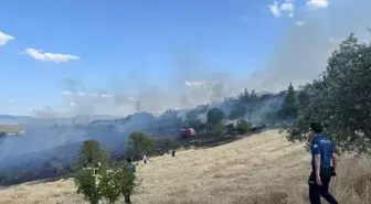Bilecik'te Buğday Tarlasında Yangın Kontrol Altına Alındı