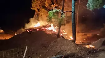 Bilecik'te Yangın: Çiftlikteki Ahırda 95 Hayvan Telef Oldu