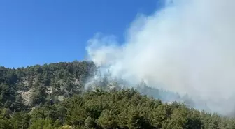 Bilecik'te Orman Yangını Kontrol Altına Alındı