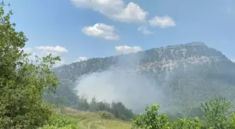 Bilecik'te Orman Yangını Kontrol Altına Alındı