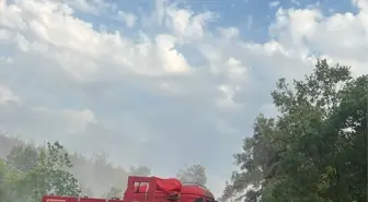 Bilecik'te Örtü Yangını Kontrol Altına Alındı