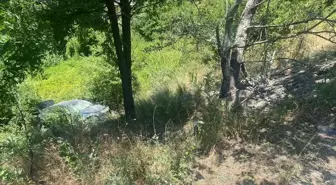 Bilecik'te Otomobil Şarampole Devrildi: 3 Yaralı