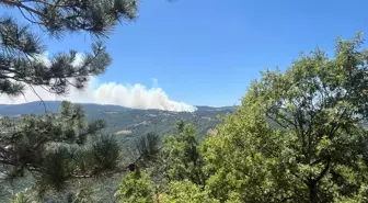 Bilecik'te Silahlı Kavga: 1 Ölü