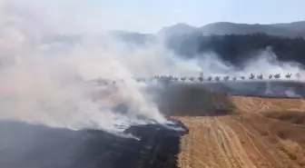 Bilecik'te Tarım Arazisinde Yangın Kontrol Altına Alındı