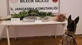 Bilecik'te Uyuşturucu Operasyonu: 2 Zanlı Gözaltında