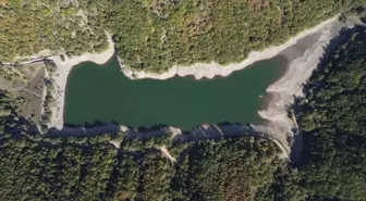 Bilecik'te Kuraklık Barajları Tehdit Ediyor: Çiftçiler Verim Kaybı Yaşıyor